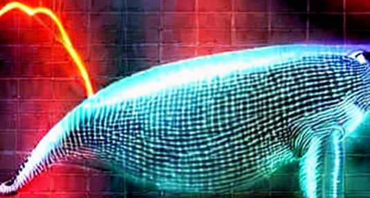 The Information War Premium: How a Fake Missile Strike Exposed the Market's Vulnerable Fabric